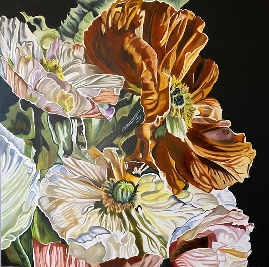 Parfait Plisse by Wendy Peters a Fine Art Botanical oil painting of poppies in beautiful warm siennas and pinks on a dark background. 