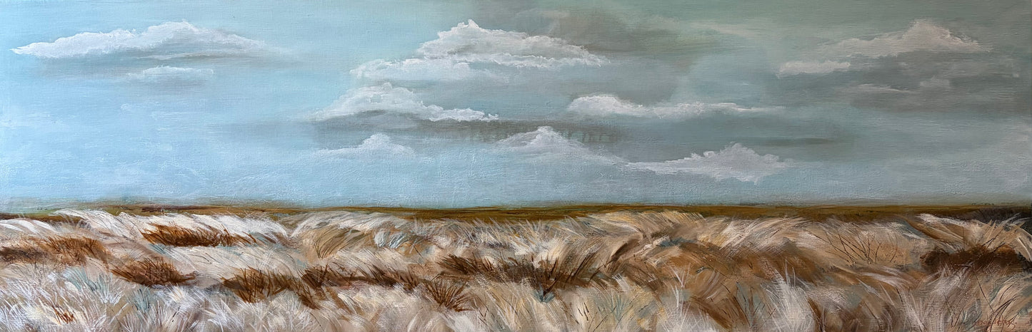 Beneath The Passing Clouds