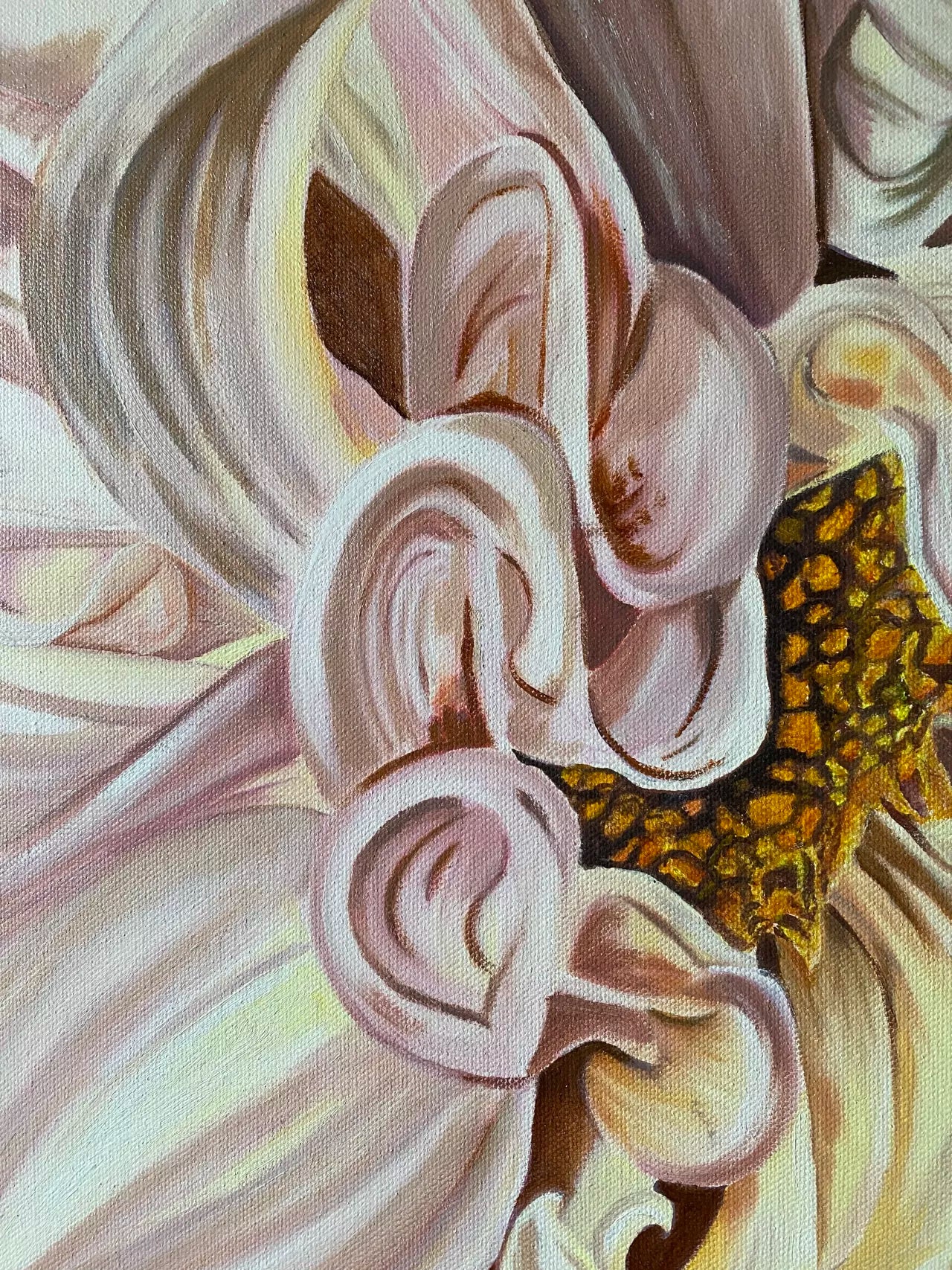 Dahlia Delight – Framed