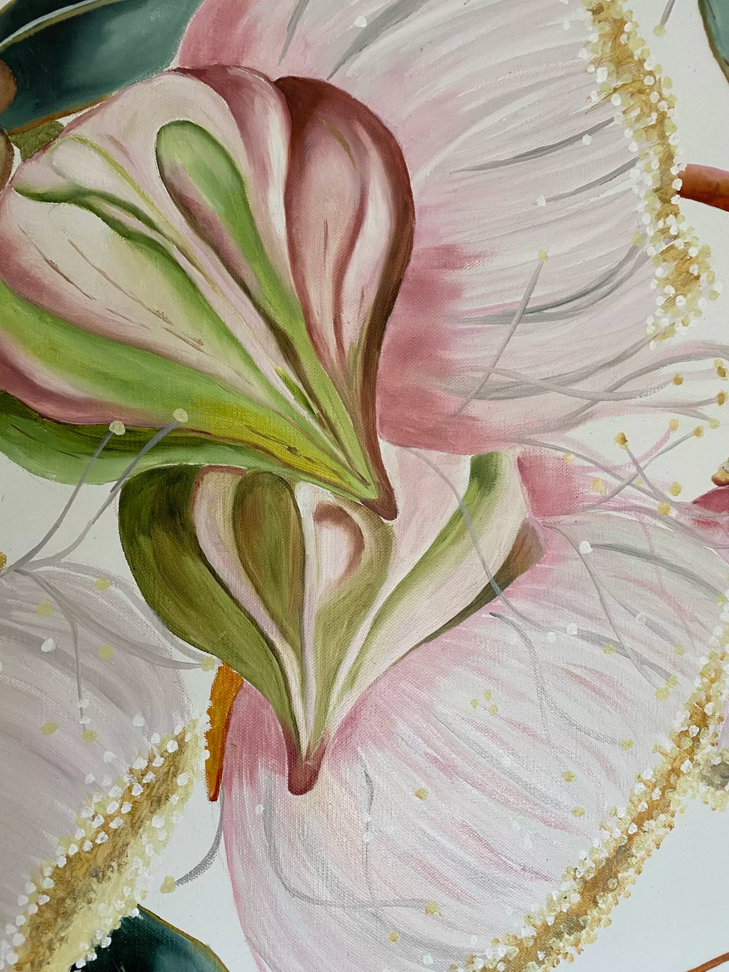 Gum Nut Meringue - Limited Edition Print