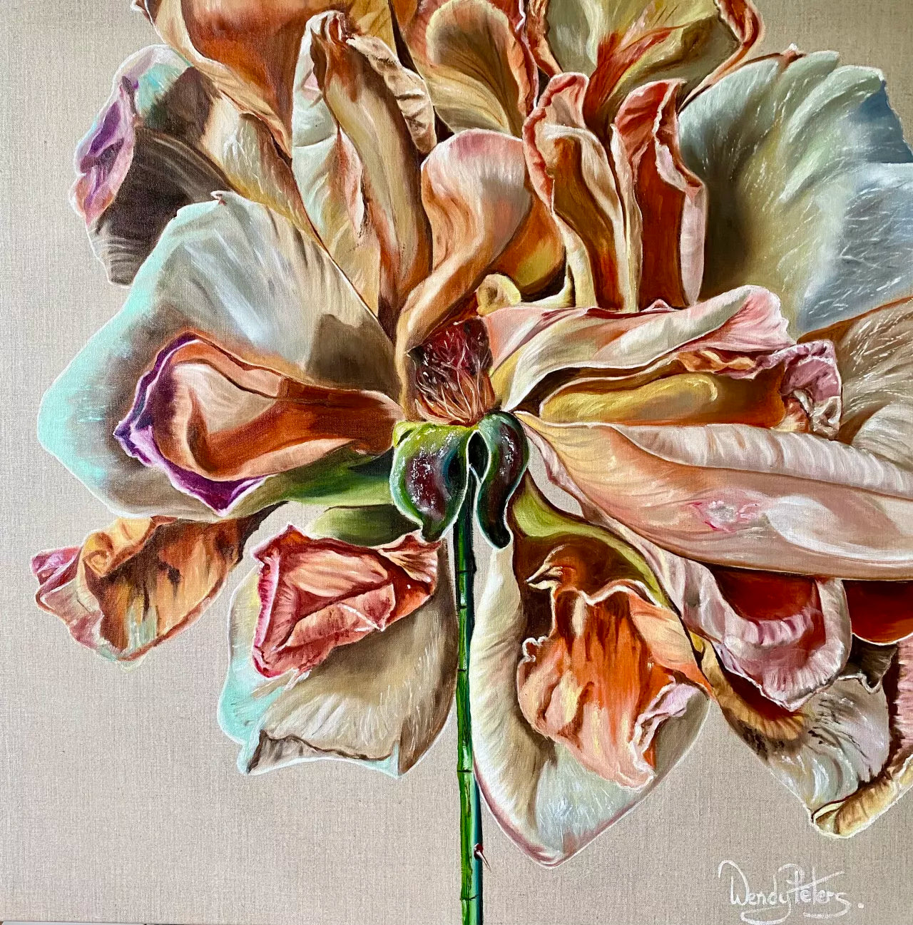A vibrant limited edition print of a baroque-style rose with multi-colored petals on a canvas background.