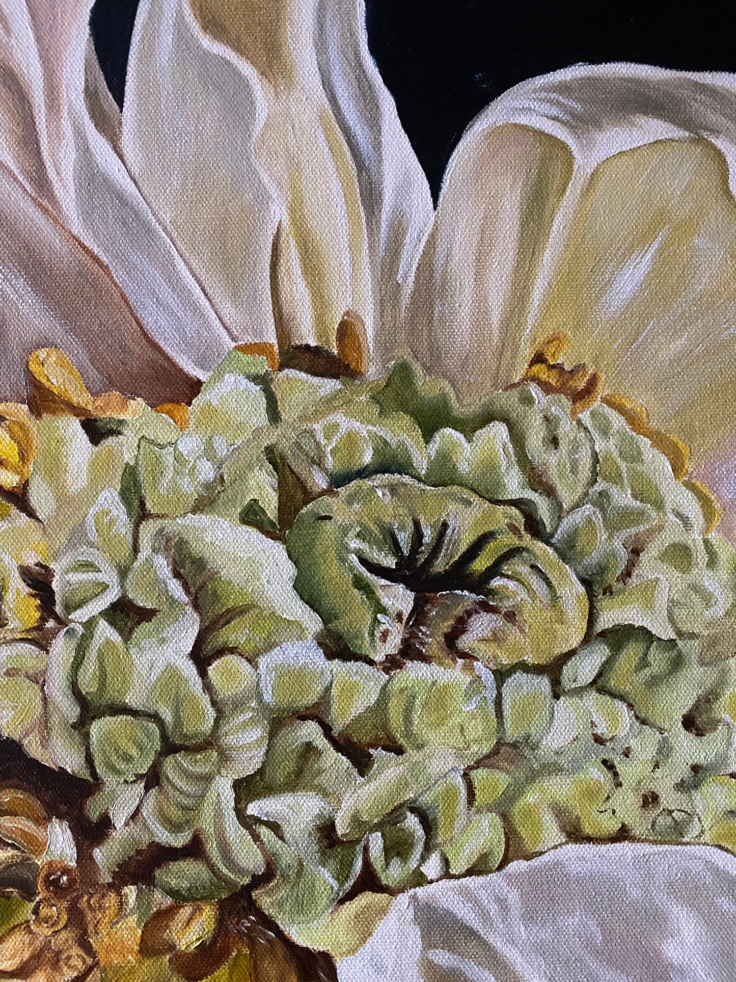 Poppy's Heart - Ltd Ed Print